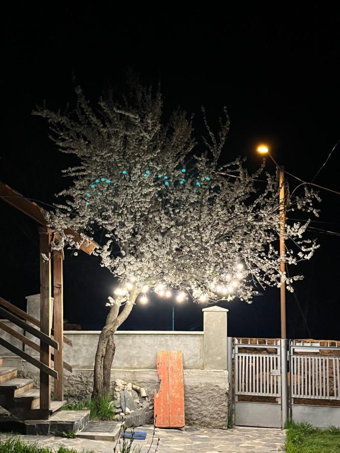 Girgola Bed & Breakfast Mestia Exterior foto
